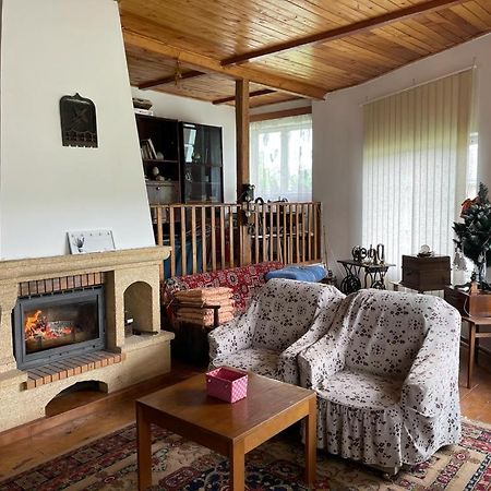 Casa Adelina Villa Valea Lunga-Cricov Exteriör bild