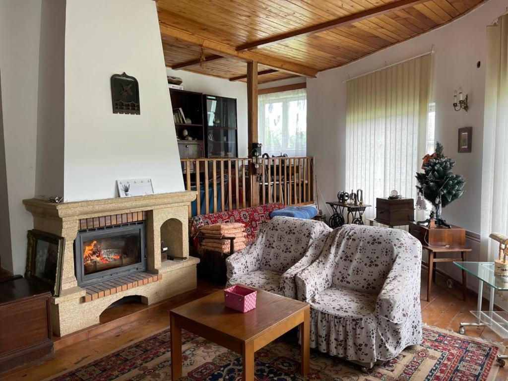 Casa Adelina Villa Valea Lunga-Cricov Exteriör bild