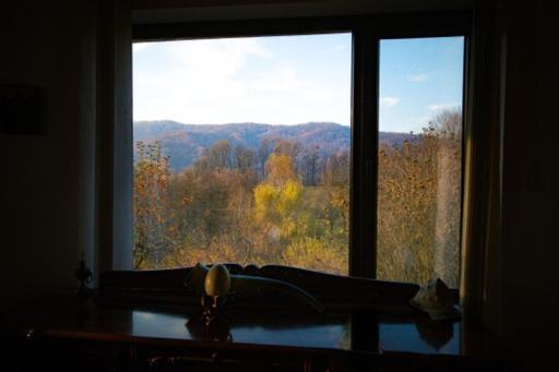 Casa Adelina Villa Valea Lunga-Cricov Exteriör bild