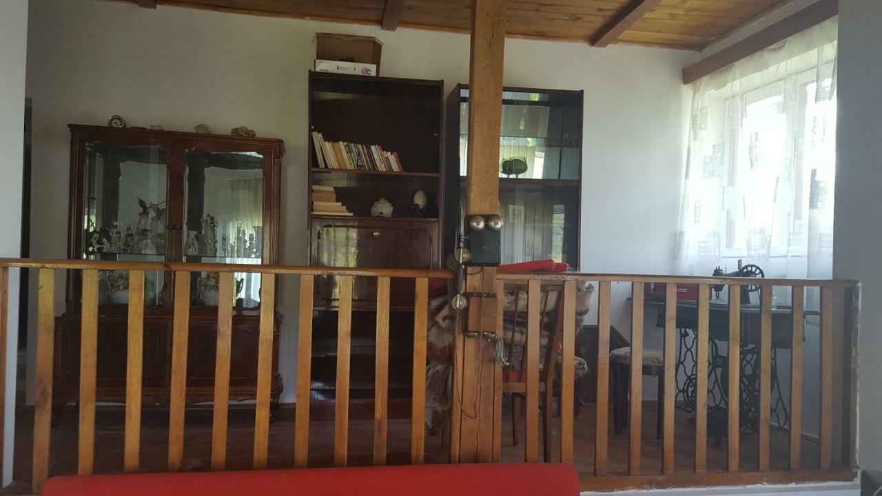 Casa Adelina Villa Valea Lunga-Cricov Exteriör bild