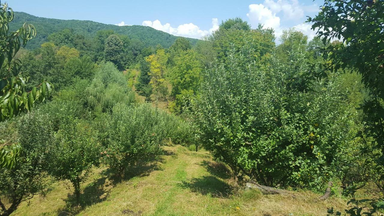 Casa Adelina Villa Valea Lunga-Cricov Exteriör bild
