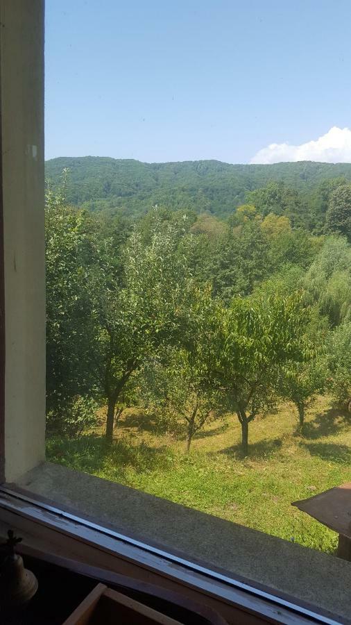 Casa Adelina Villa Valea Lunga-Cricov Exteriör bild